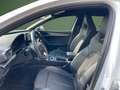 CUPRA Leon Sportstourer e-Hybrid /ACC/Kessy/219€mtl. Weiß - thumbnail 10