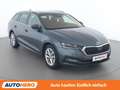 Skoda Octavia 2.0 TDI Premium Grau - thumbnail 8