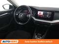 Skoda Octavia 2.0 TDI Premium Grau - thumbnail 13