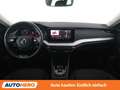 Skoda Octavia 2.0 TDI Premium Grau - thumbnail 12