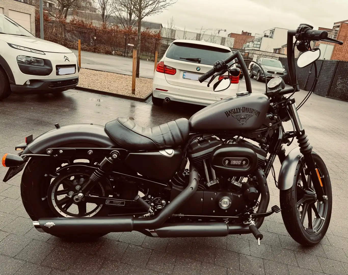 Harley-Davidson Sportster 1200 Iron 883 Grau - 1