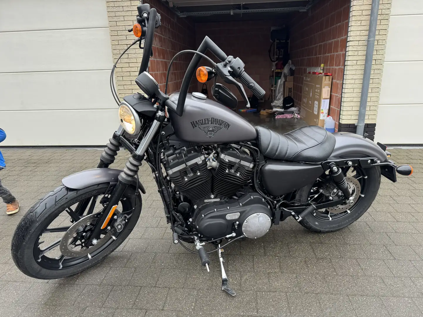 Harley-Davidson Sportster 1200 Iron 883 Grau - 2
