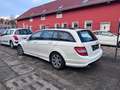 Mercedes-Benz C 250 T CDI  AMG AUTOMATIK+XENON+LEDER+PDC Weiß - thumbnail 11