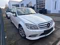 Mercedes-Benz C 250 T CDI  AMG AUTOMATIK+XENON+LEDER+PDC Weiß - thumbnail 13