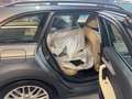 Audi A4 allroad A4 Allroad basis Grau - thumbnail 7