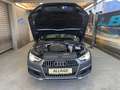 Audi A4 allroad A4 Allroad basis Grau - thumbnail 21