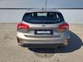 Ford Focus FOCUS TREND 1.0 EBOOST 100PS M6 5T Braun - thumbnail 5