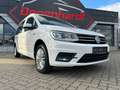 Volkswagen Caddy Maxi 2.0 TDI Comfortline AHK NAVI ACC KAM Blanc - thumbnail 20