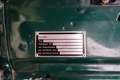 MG Midget 1.3 *Classic Data 3+* Grün - thumbnail 18