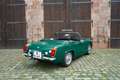 MG Midget 1.3 *Classic Data 3+* Grün - thumbnail 6