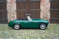 MG Midget 1.3 *Classic Data 3+* Grün - thumbnail 7