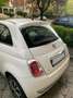 Fiat 500 500 1.3 Multijet Diesel Wit - thumbnail 5