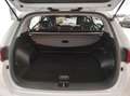 Kia Sportage (AUTOCARRO) 1.6 CRDI MHB 100KW BLACK EDIT DCT 2WD Wit - thumbnail 17