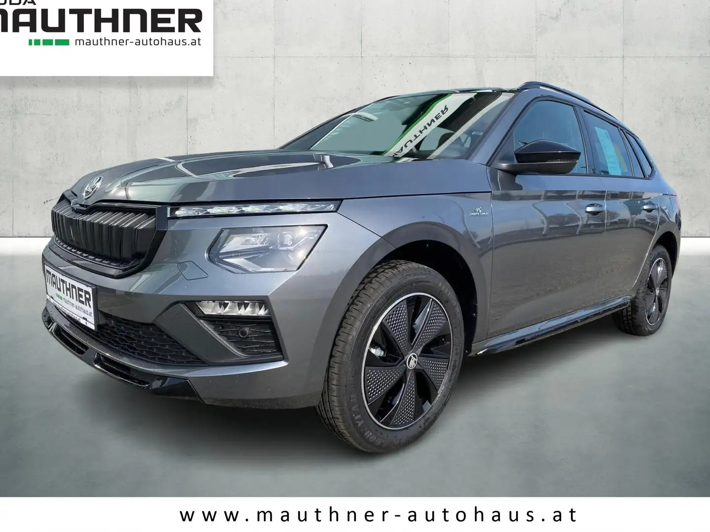 Skoda Kamiq Monte Carlo Grau - 1
