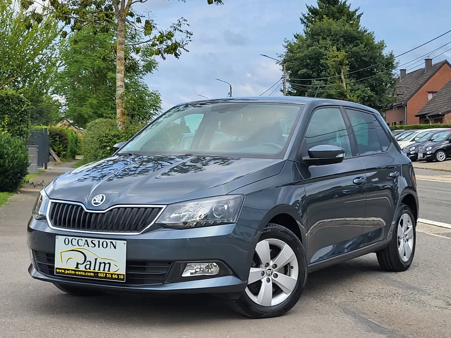 Skoda Fabia Fabia 1.2 TSI Active DSG Grigio - 1