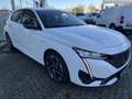 Peugeot 308 Hybrid 180 e-EAT8 Allure Pack Navi Fernlichtass. R Weiß - thumbnail 5