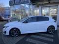 Peugeot 308 Hybrid 180 e-EAT8 Allure Pack Navi Fernlichtass. R Weiß - thumbnail 2