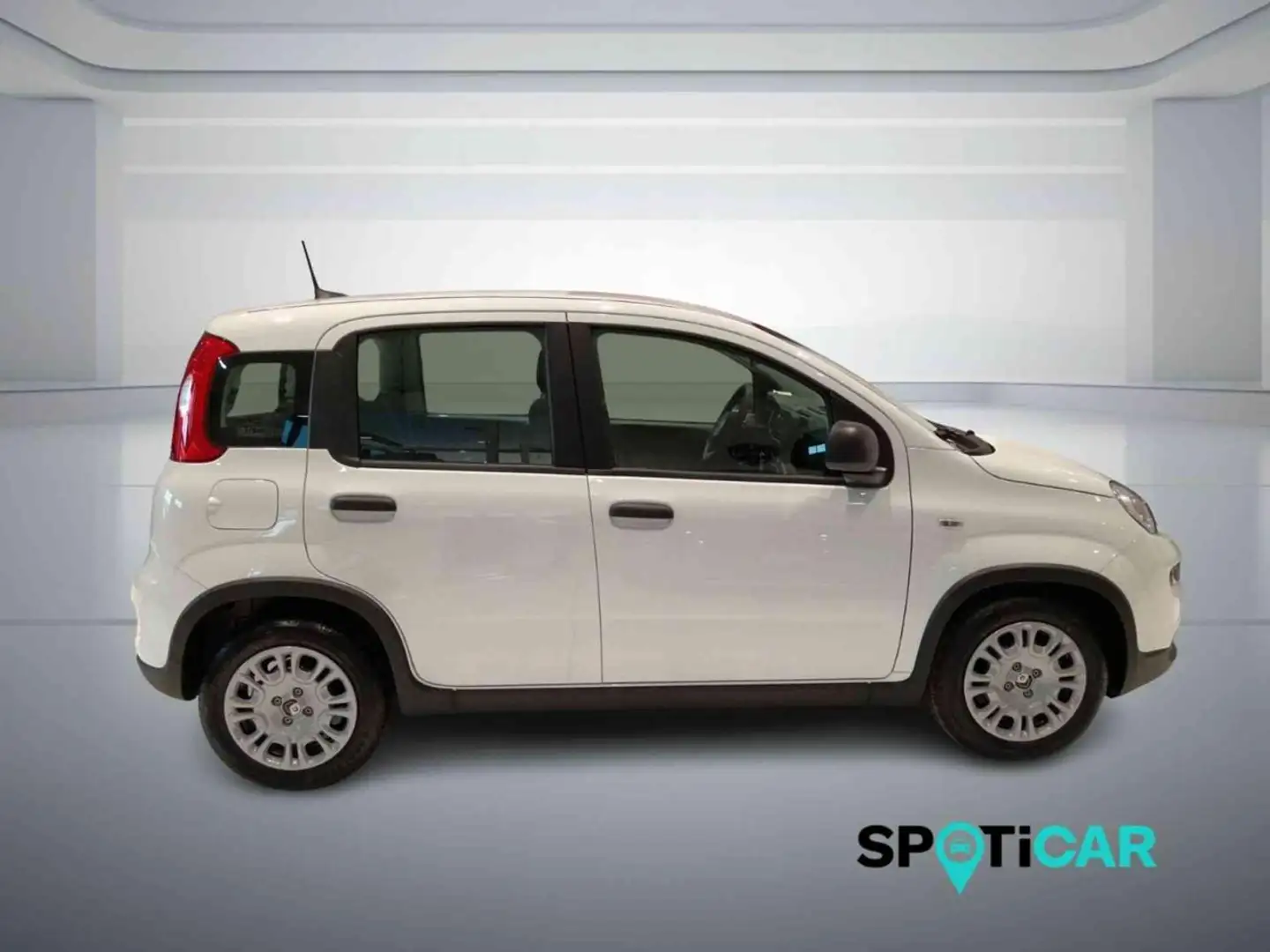 Fiat Panda 1.0 FireFly S&S Hybrid PANDINA ADAS Bianco - 2