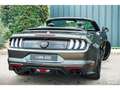 Ford Mustang Cabriolet Gt 5.0l V8 450 Bva10 Premium Gris - thumbnail 12