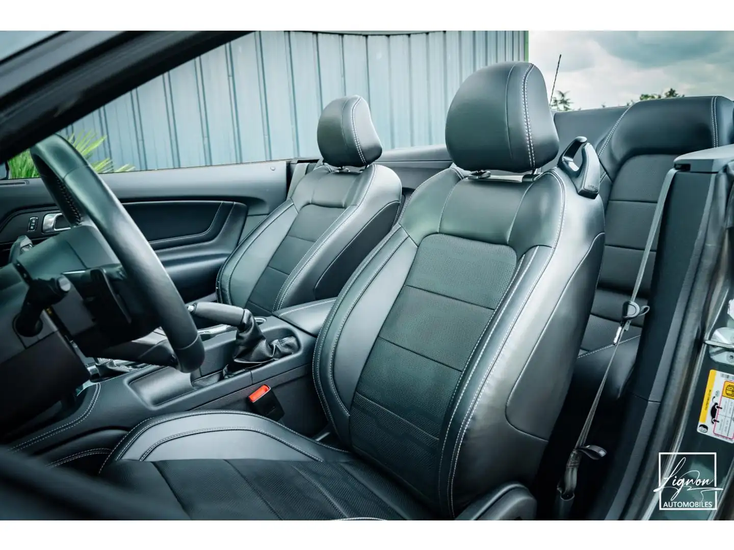 Ford Mustang Cabriolet Gt 5.0l V8 450 Bva10 Premium Gris - 2