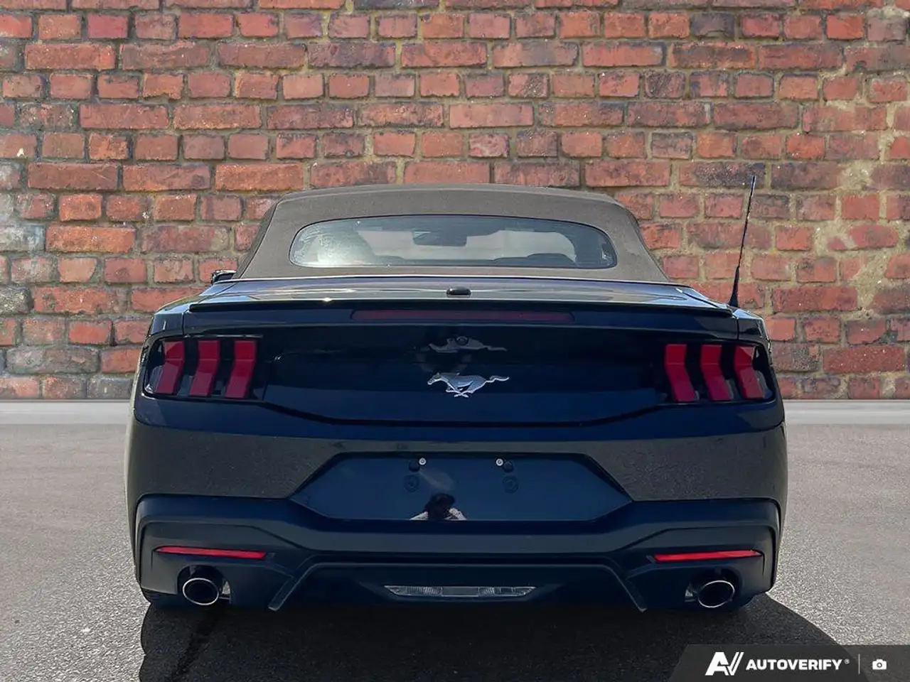 Ford Mustang снимка Ford Mustang