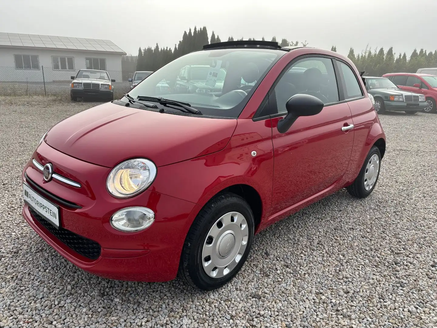 Fiat 500 Cabrio 1.0 Mild Hybrid TAGESZULASSUNG 30KM Rot - 1