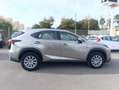 Lexus NX 300 300h Business 2WD Gris - thumbnail 5