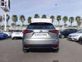 Lexus NX 300 300h Business 2WD Gris - thumbnail 7