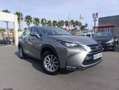 Lexus NX 300 300h Business 2WD Gris - thumbnail 1