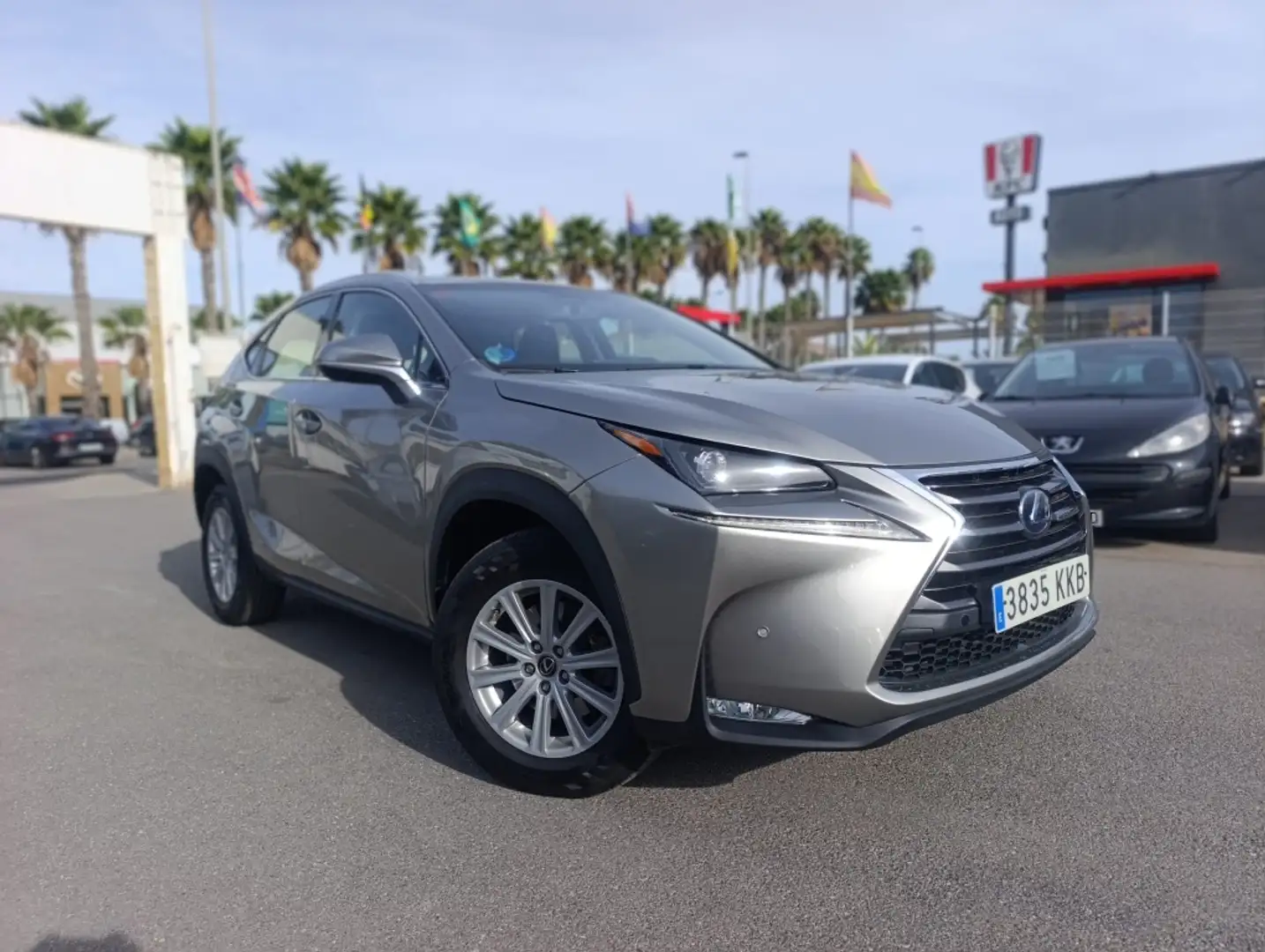 Lexus NX 300 300h Business 2WD Gris - 1