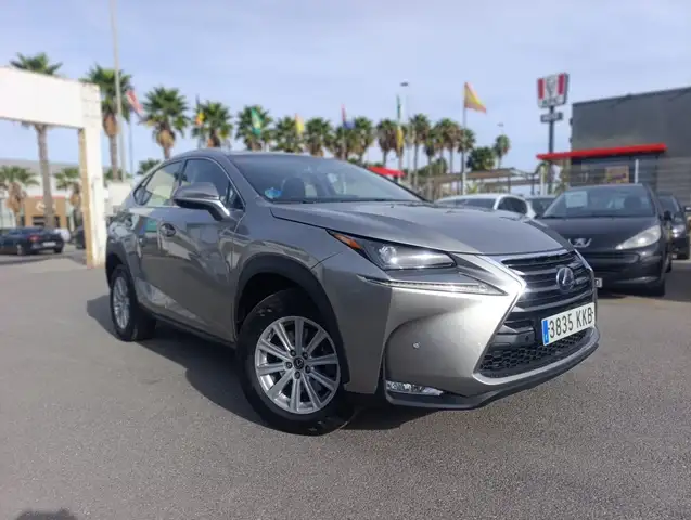 Lexus NX 300 300h Business 2WD