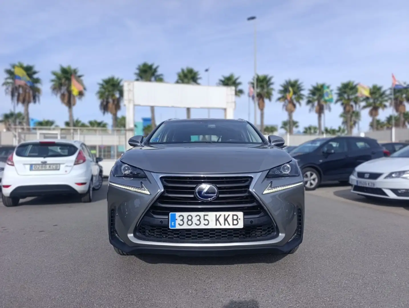 Lexus NX 300 300h Business 2WD Gris - 2