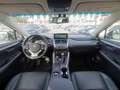 Lexus NX 300 300h Business 2WD Gris - thumbnail 10