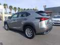 Lexus NX 300 300h Business 2WD Gris - thumbnail 6