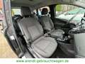 Ford B-Max B-MAX Titanium*SHZ/PDC/GRA/Licht&Sicht* Gris - thumbnail 17