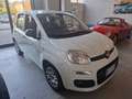 Fiat Panda III 2016 1.3 mjt 16v Easy EURO6! -UNIPRO-GARANZIA Blanc - thumbnail 2