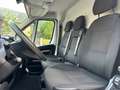 Opel Movano Bianco - thumbnail 8