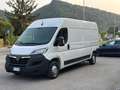 Opel Movano Bianco - thumbnail 7