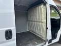 Opel Movano Bianco - thumbnail 11