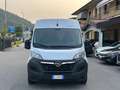 Opel Movano Bianco - thumbnail 2