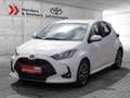 Toyota Yaris Hybrid 1.5 Team D KAMERA NAVI ACC LED Blanco - thumbnail 1
