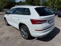 Skoda Kodiaq L&K 4x4 Panorama/ 360 Grad/ AHK Wit - thumbnail 6