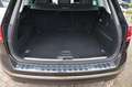 Volkswagen Touareg 3.0 V6 TDI BMT  Luftfederung AHK Navi ACC Brun - thumbnail 13