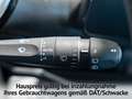 Fiat 600 Business Edition 1.2 MHEV LED Einparkhilfe Grün - thumbnail 16