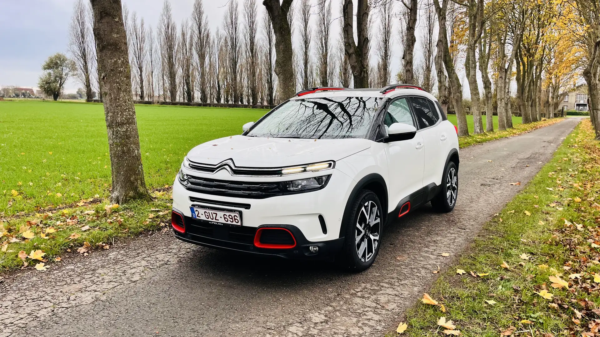 Citroen C5 Aircross BlueHDI 130 S&S EAT8 Bussines Max - 2