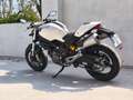 Ducati Monster 696 Plus abs Blanco - thumbnail 2