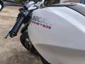 Ducati Monster 696 Plus abs Blanco - thumbnail 3