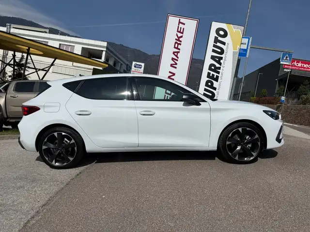 CUPRA Leon Leon 2025 2.0 tdi 150cv dsg
