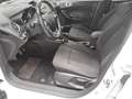 Ford Fiesta 1.0 EcoBoost Titanium Fernlichtass. SHZ White - thumbnail 8