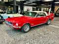 Ford Mustang V8 302 5,0l Cabrio Scheibenbr. Servol. Rood - thumbnail 9